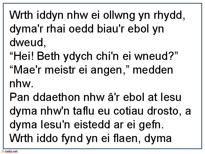 Wrth iddyn nhw ei ollwng yn rhydd, dyma'r rhai oedd biau'r ebol yn dweud,