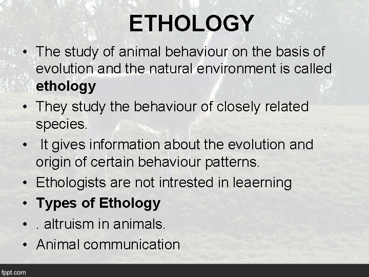 ETHOLOGY • The study of animal behaviour on the basis of evolution and the