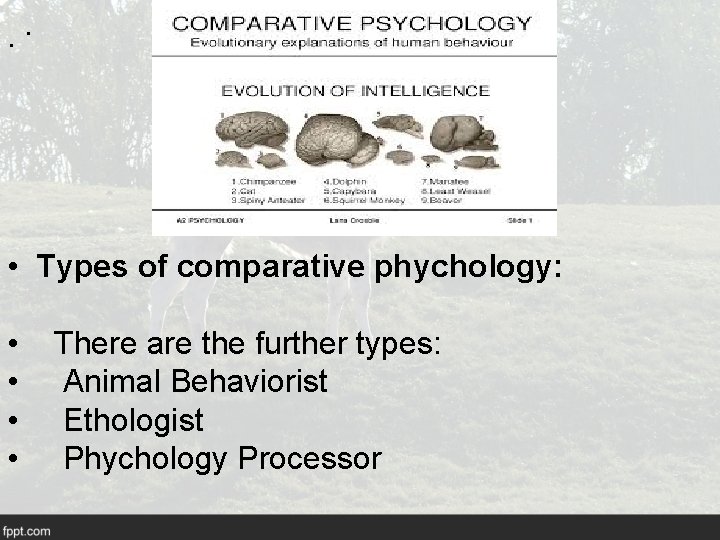 . . • Types of comparative phychology: • • There are the further types: