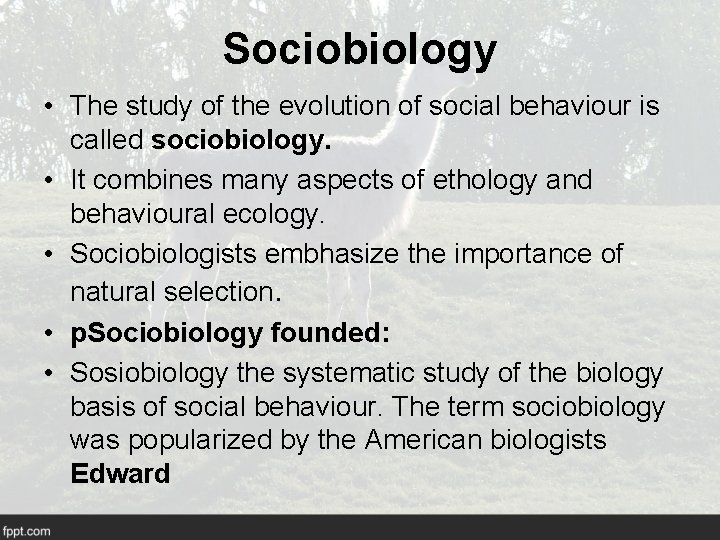 Sociobiology • The study of the evolution of social behaviour is called sociobiology. •