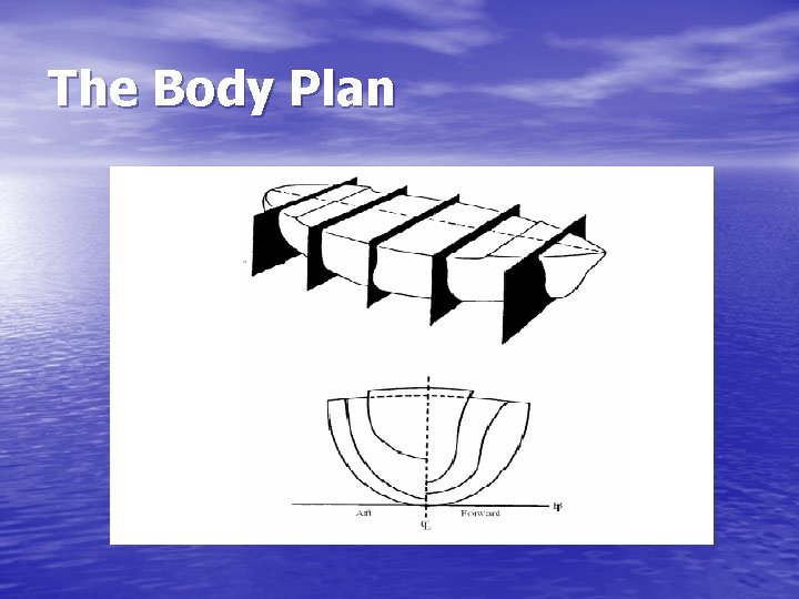 The Body Plan 