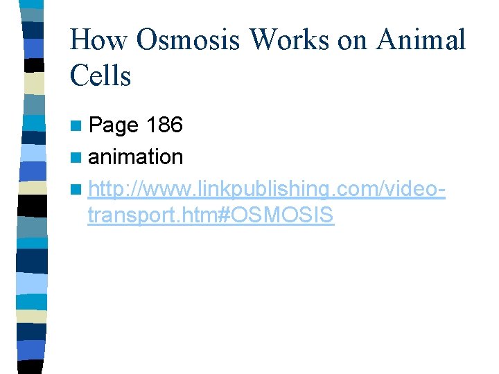 How Osmosis Works on Animal Cells n Page 186 n animation n http: //www.