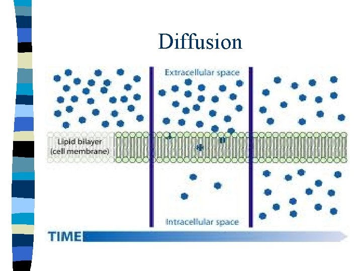 Diffusion 