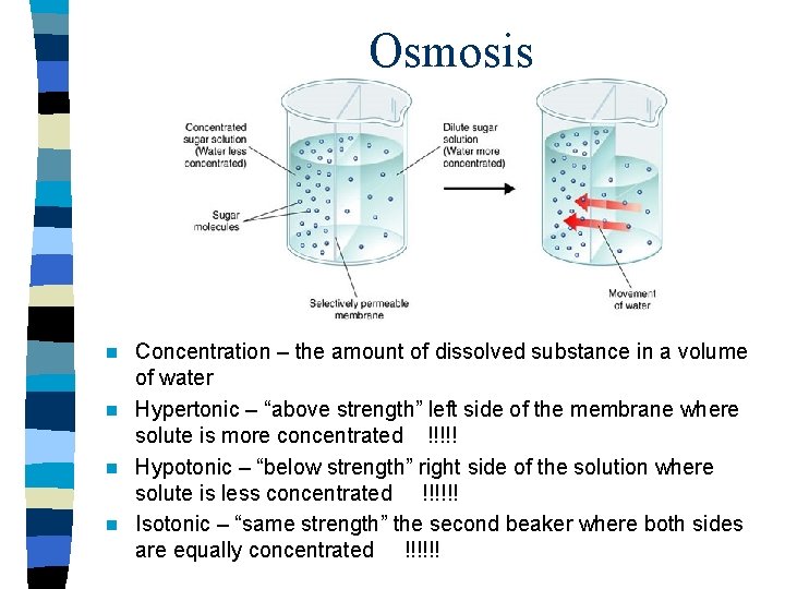 Osmosis Concentration – the amount of dissolved substance in a volume of water n