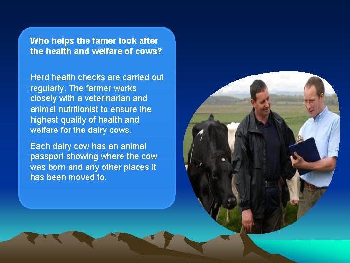 Who helps the famer look after the health and welfare of cows? Herd health