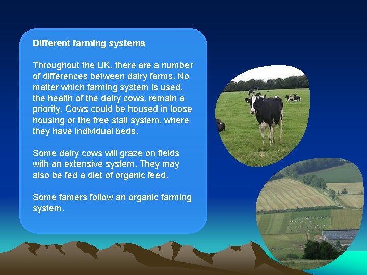 Different farming systems Throughout the UK, there a number of differences between dairy farms.