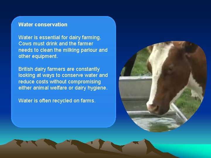 Water conservation Water is essential for dairy farming. Cows must drink and the farmer