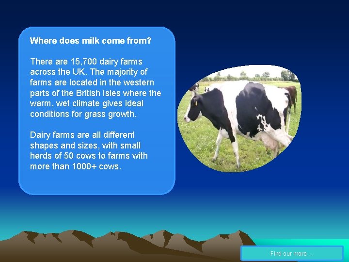 Where does milk come from? There are 15, 700 dairy farms across the UK.