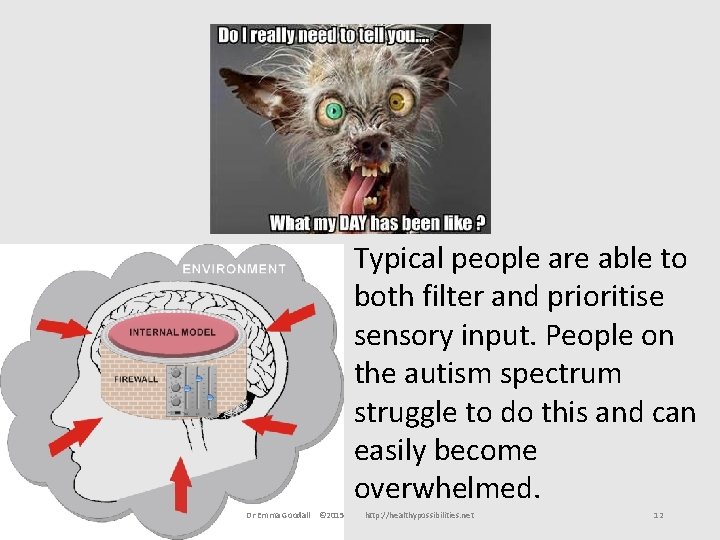 Typical people are able to both filter and prioritise sensory input. People on the