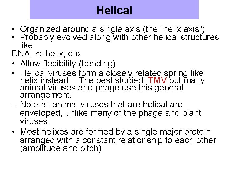 Helical • Organized around a single axis (the “helix axis”) • Probably evolved along