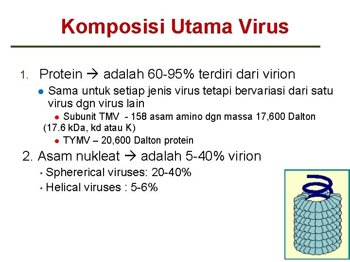 Komposisi Utama Virus 1. Protein adalah 60 -95% terdiri dari virion Sama untuk setiap