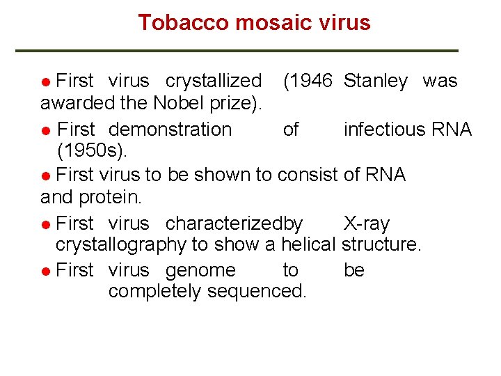 Tobacco mosaic virus First virus crystallized (1946 Stanley was awarded the Nobel prize). First