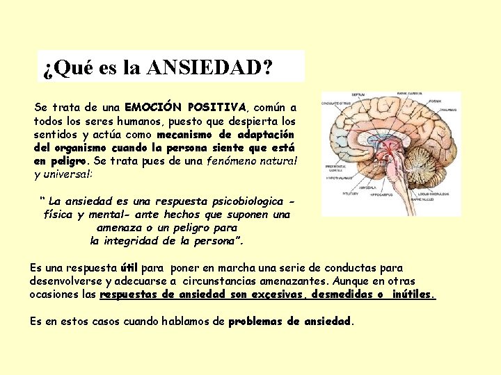 ¿Qué es la ANSIEDAD? Se trata de una EMOCIÓN POSITIVA, común a todos los