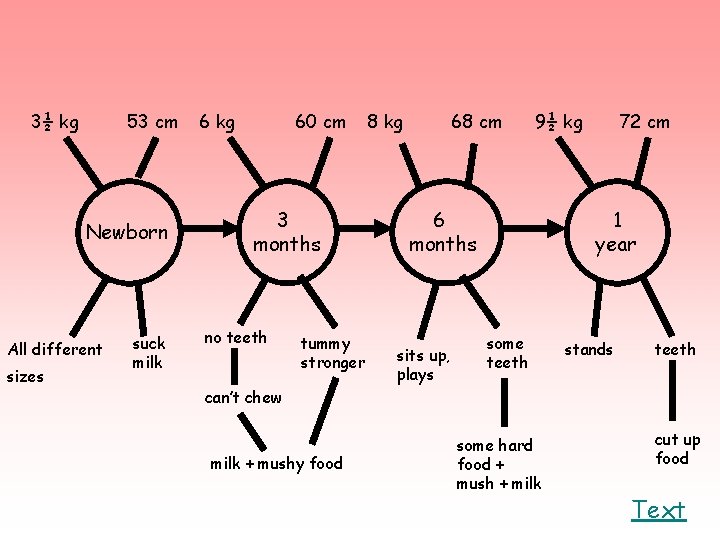 3½ kg 53 cm Newborn All different sizes suck milk 6 kg 60 cm