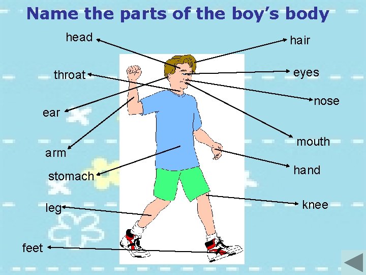 Name the parts of the boy’s body head throat ear arm stomach leg feet
