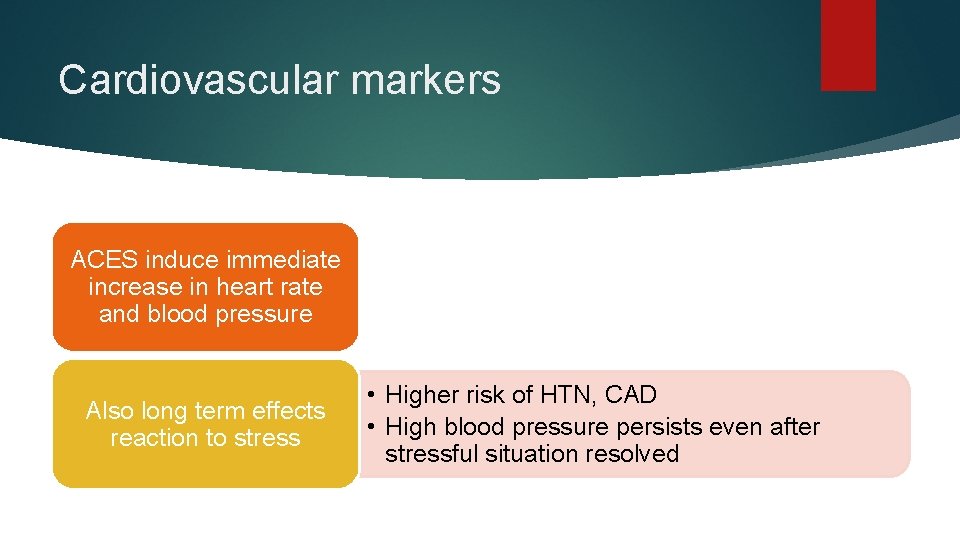 Cardiovascular markers ACES induce immediate increase in heart rate and blood pressure Also long