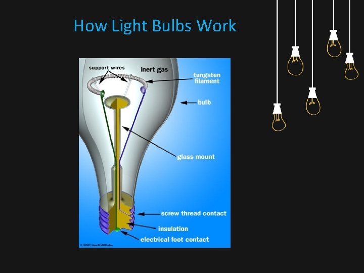 How Light Bulbs Work 