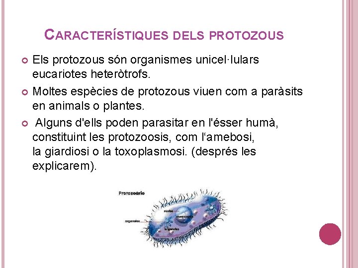 CARACTERÍSTIQUES DELS PROTOZOUS Els protozous són organismes unicel·lulars eucariotes heteròtrofs. Moltes espècies de protozous