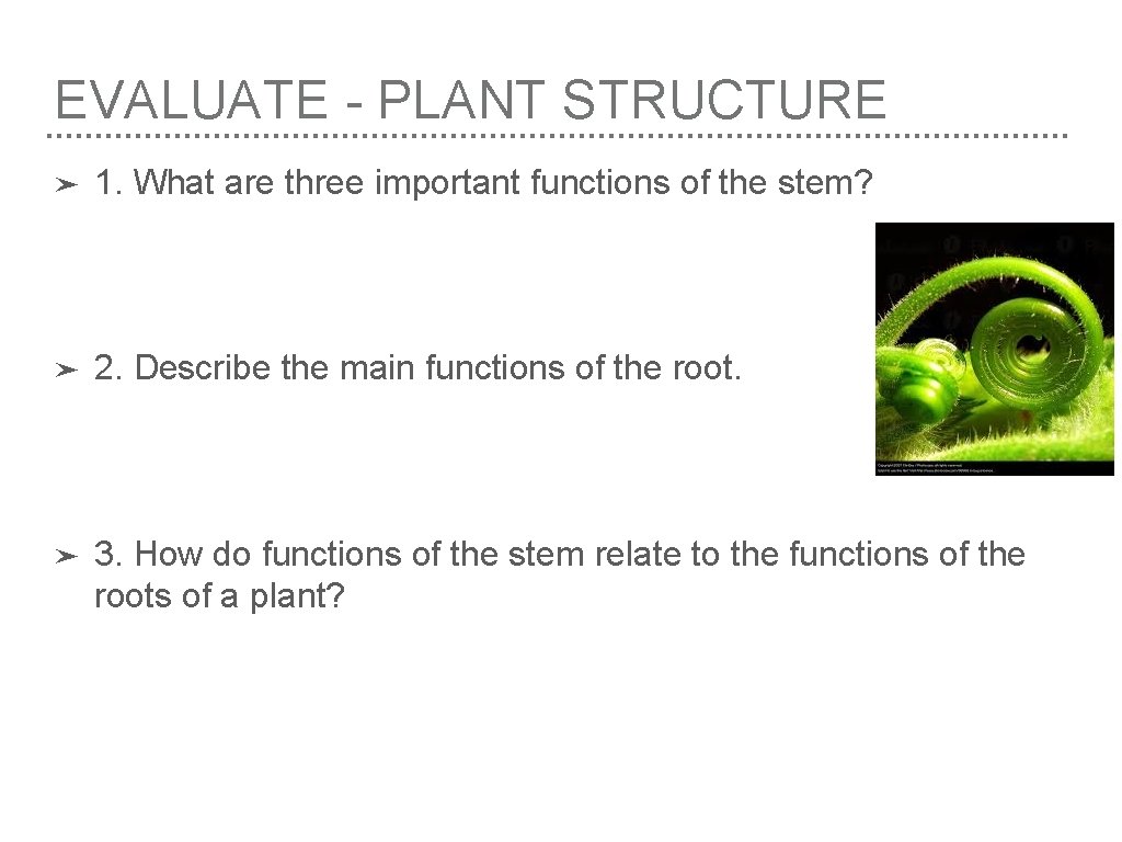 EVALUATE - PLANT STRUCTURE ➤ 1. What are three important functions of the stem?