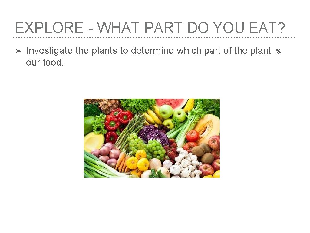 EXPLORE - WHAT PART DO YOU EAT? ➤ Investigate the plants to determine which