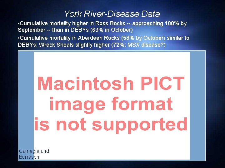 York River-Disease Data • Cumulative mortality higher in Ross Rocks -- approaching 100% by