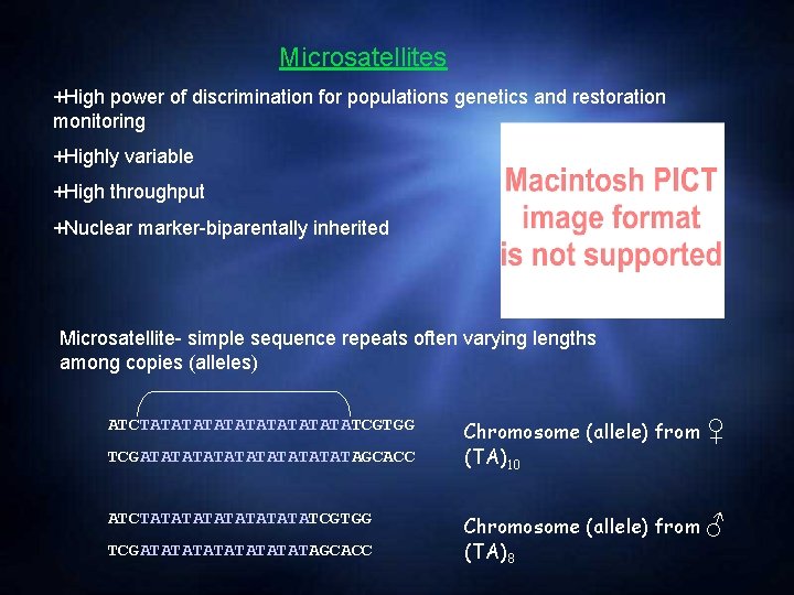 Microsatellites +High power of discrimination for populations genetics and restoration monitoring +Highly variable +High