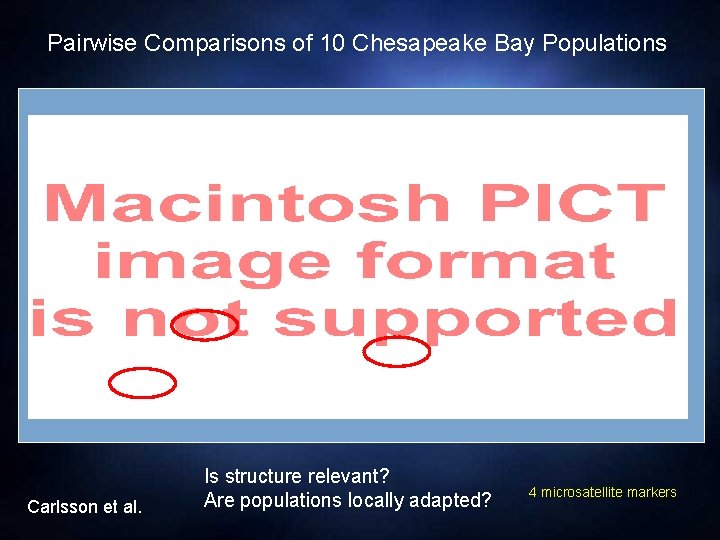 Pairwise Comparisons of 10 Chesapeake Bay Populations Carlsson et al. Is structure relevant? Are