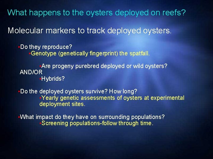 What happens to the oysters deployed on reefs? Molecular markers to track deployed oysters.