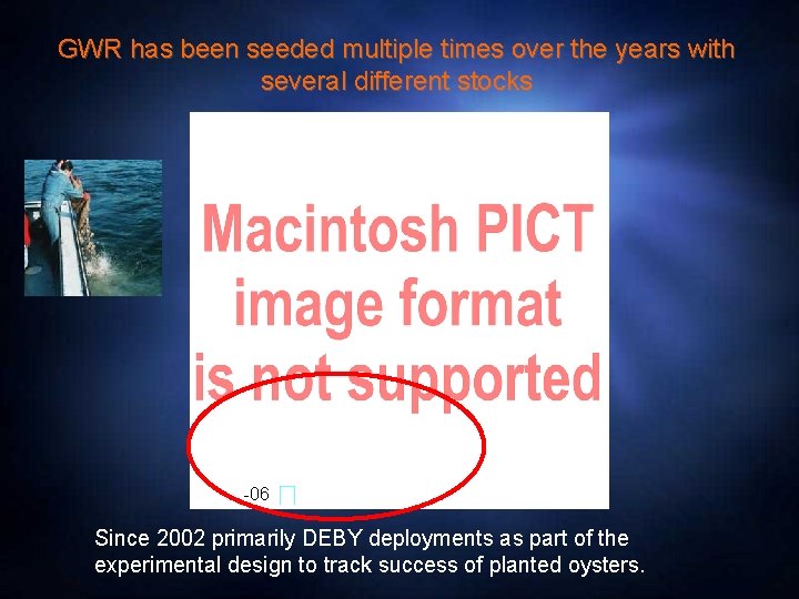 GWR has been seeded multiple times over the years with several different stocks -06