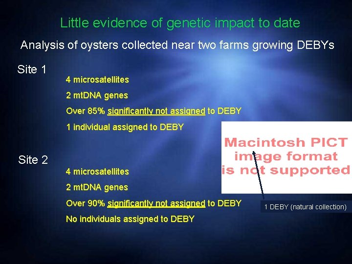 Little evidence of genetic impact to date Analysis of oysters collected near two farms