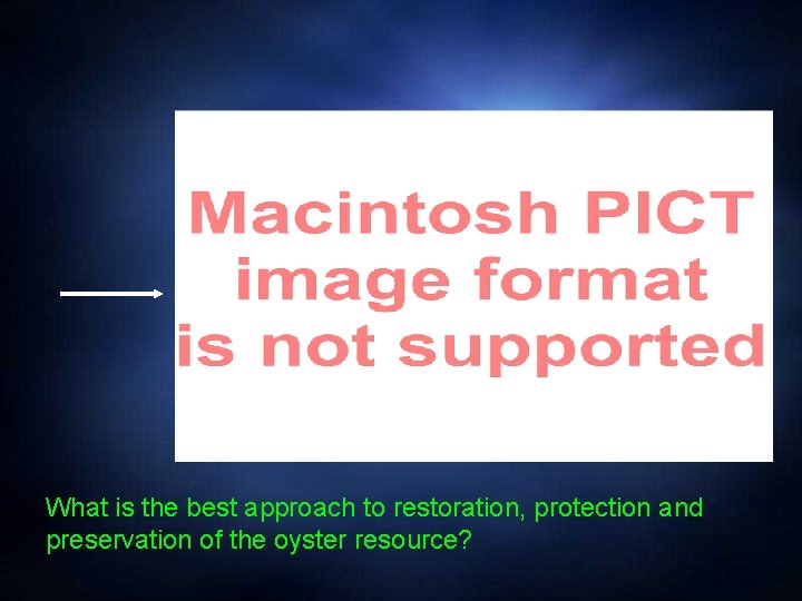 What is the best approach to restoration, protection and preservation of the oyster resource?