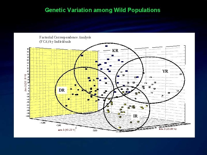 Genetic Variation among Wild Populations Factorial Correspondence Analysis (FCA) by Individuals KR YR DR