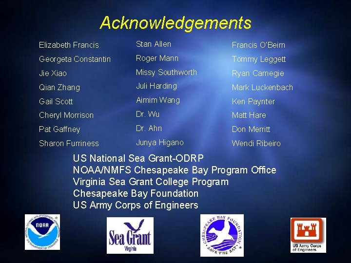 Acknowledgements Elizabeth Francis Stan Allen Francis O’Beirn Georgeta Constantin Roger Mann Tommy Leggett Jie