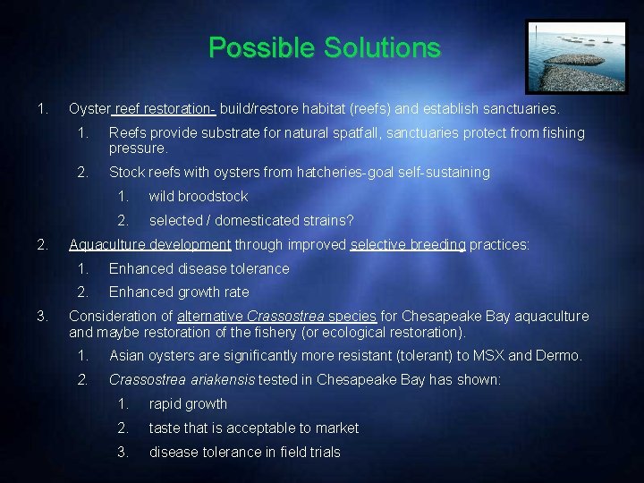 Possible Solutions 1. 2. 3. Oyster reef restoration- build/restore habitat (reefs) and establish sanctuaries.