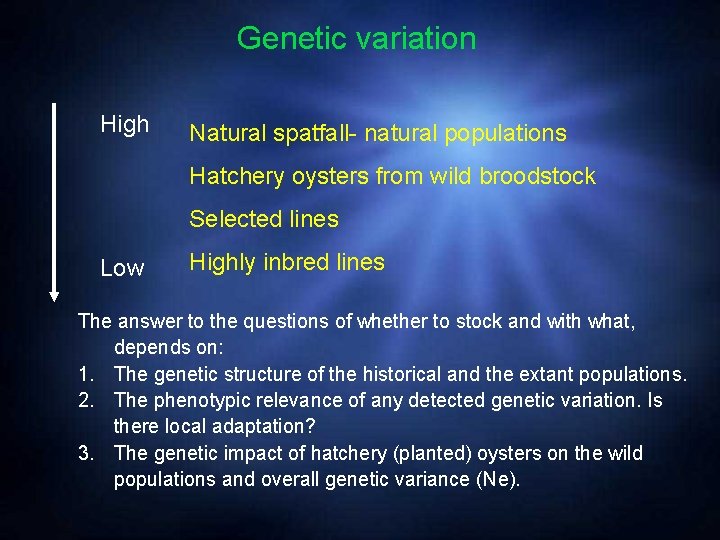 Genetic variation High Natural spatfall- natural populations Hatchery oysters from wild broodstock Selected lines
