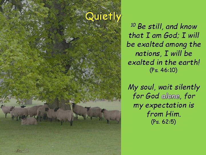 Quietly 10 Be still, and know that I am God; I will be exalted