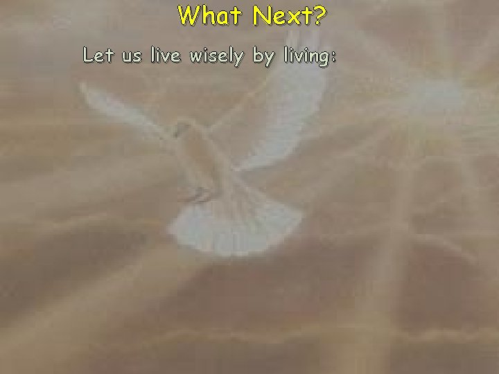 What Next? Let us live wisely by living: 