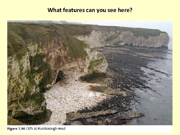What features can you see here? 