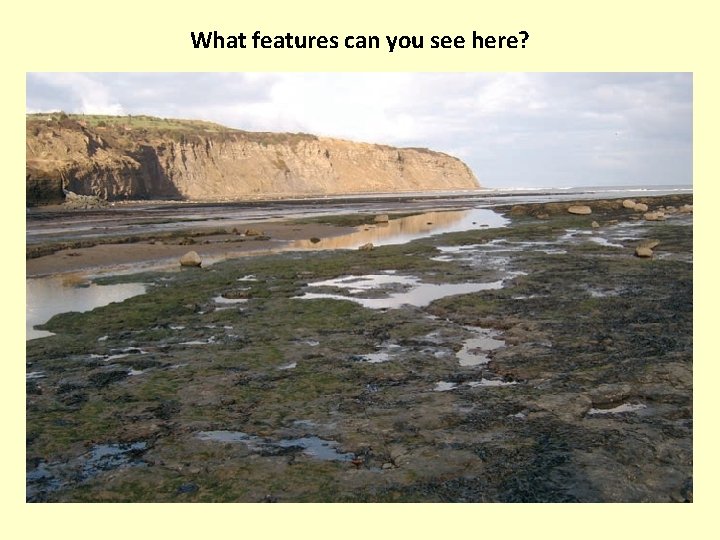 What features can you see here? 
