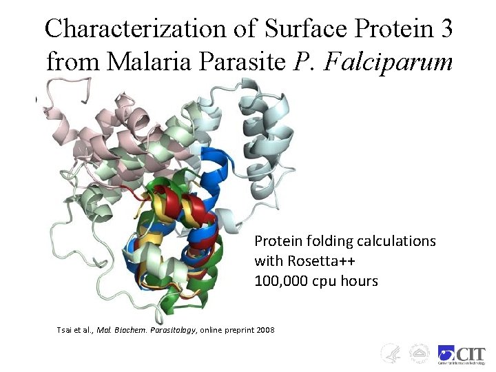 Characterization of Surface Protein 3 from Malaria Parasite P. Falciparum Protein folding calculations with