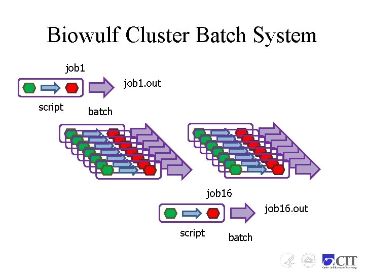 Biowulf Cluster Batch System job 1. out script batch job 16. out script batch