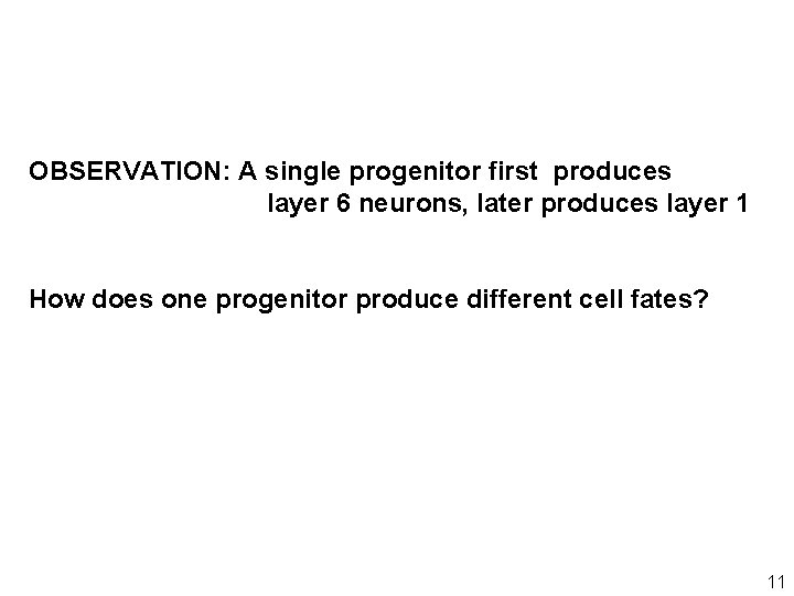 OBSERVATION: A single progenitor first produces layer 6 neurons, later produces layer 1 How