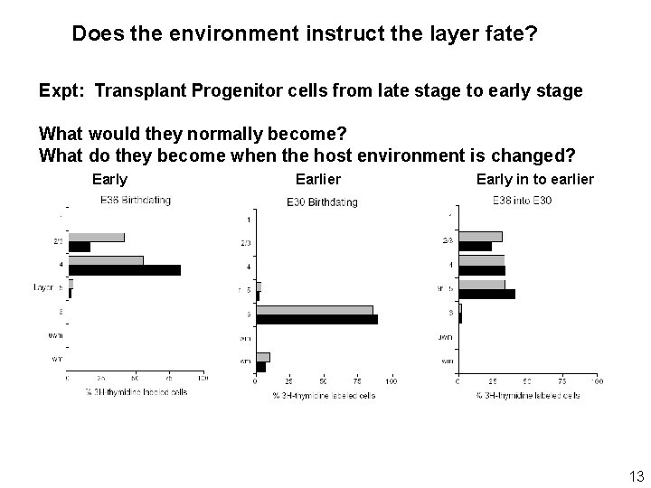 Does the environment instruct the layer fate? Expt: Transplant Progenitor cells from late stage