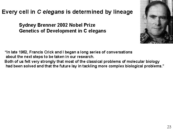 Every cell in C elegans is determined by lineage Sydney Brenner 2002 Nobel Prize