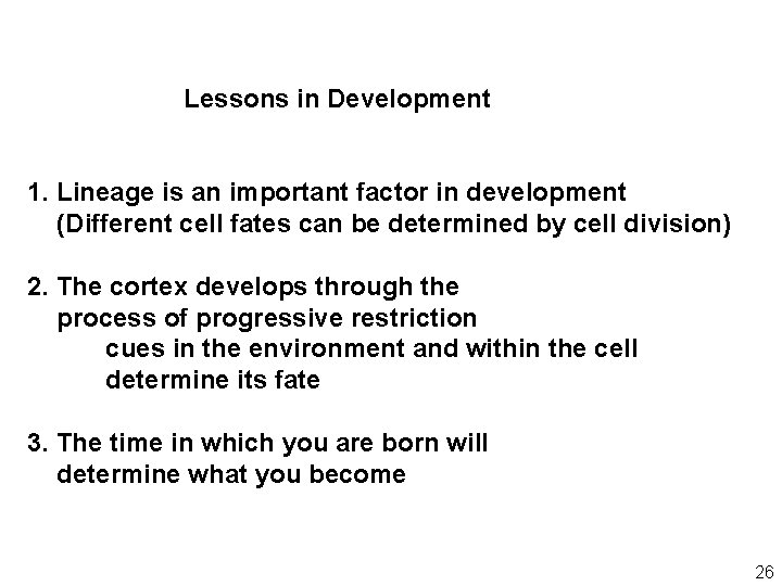 Lessons in Development 1. Lineage is an important factor in development (Different cell fates