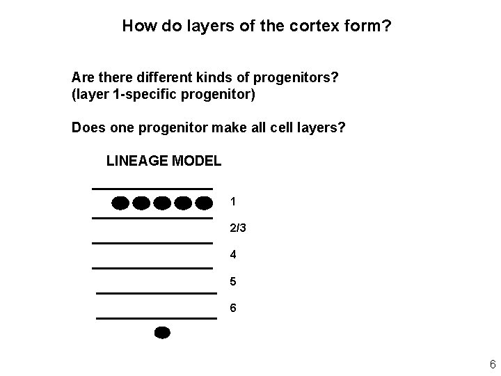 How do layers of the cortex form? Are there different kinds of progenitors? (layer