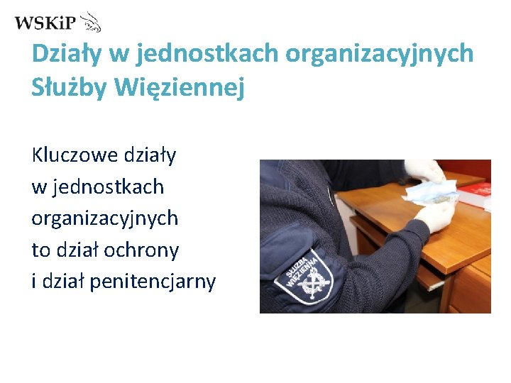 Działy w jednostkach organizacyjnych Służby Więziennej Kluczowe działy w jednostkach organizacyjnych to dział ochrony