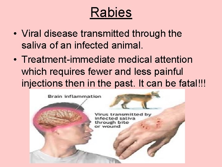 Rabies • Viral disease transmitted through the saliva of an infected animal. • Treatment-immediate