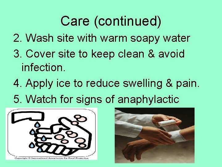 Care (continued) 2. Wash site with warm soapy water 3. Cover site to keep