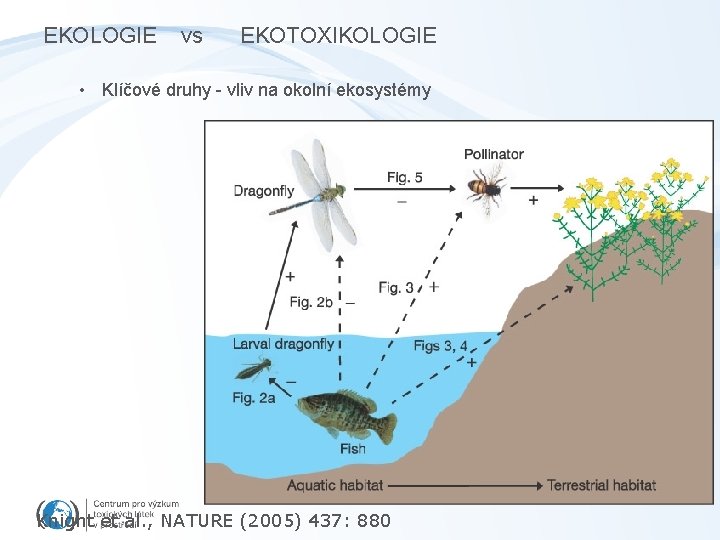 EKOLOGIE vs EKOTOXIKOLOGIE • Klíčové druhy - vliv na okolní ekosystémy Knight et al.